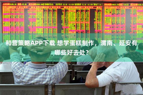 和营策略APP下载 想学蛋糕制作，渭南、延安有哪些好去处？